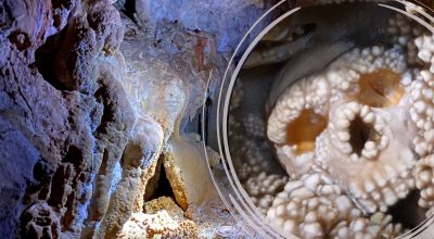ABISSI DEL TEMPO: La Grotta di Lamalunga – L’Uomo di Neanderthal