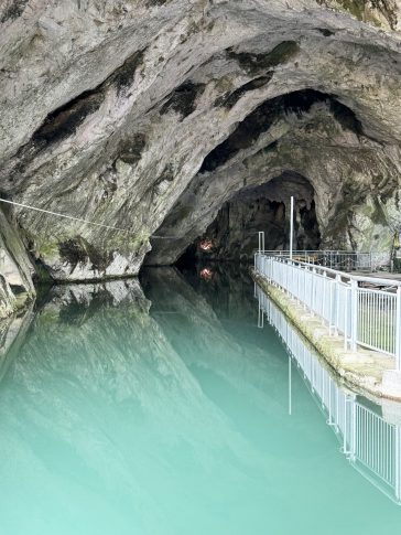 immagine copertina notizia